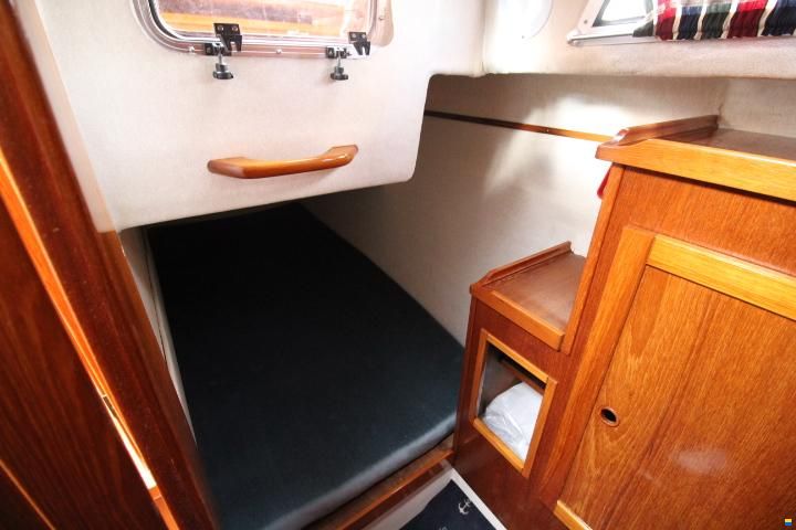 Nimbus 3100