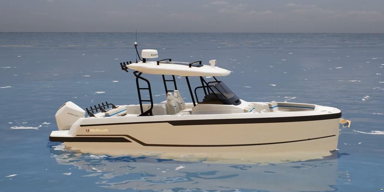 Wellcraft 28 T-TOP