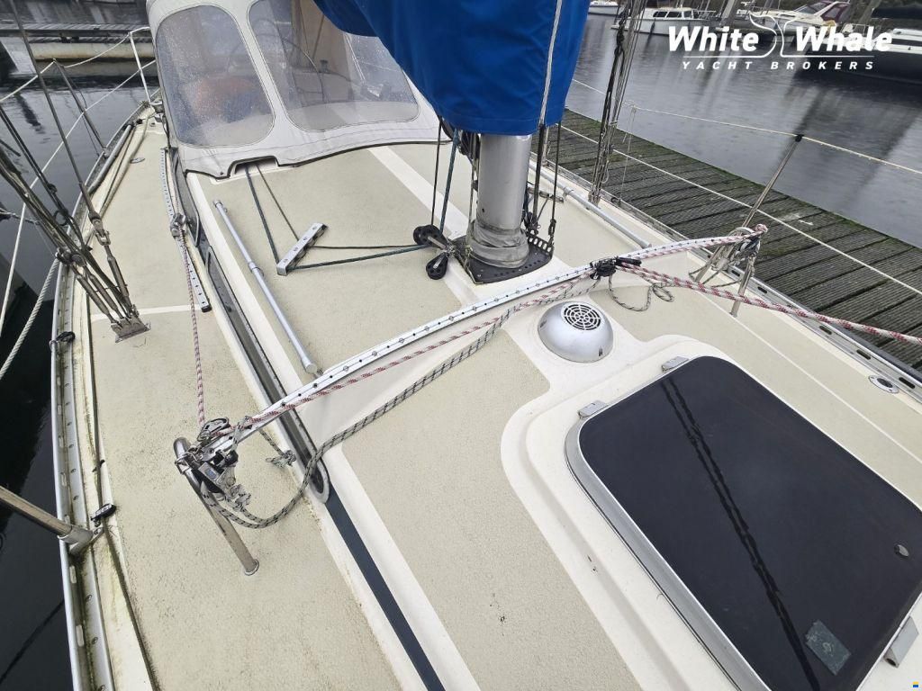 Sirena 38