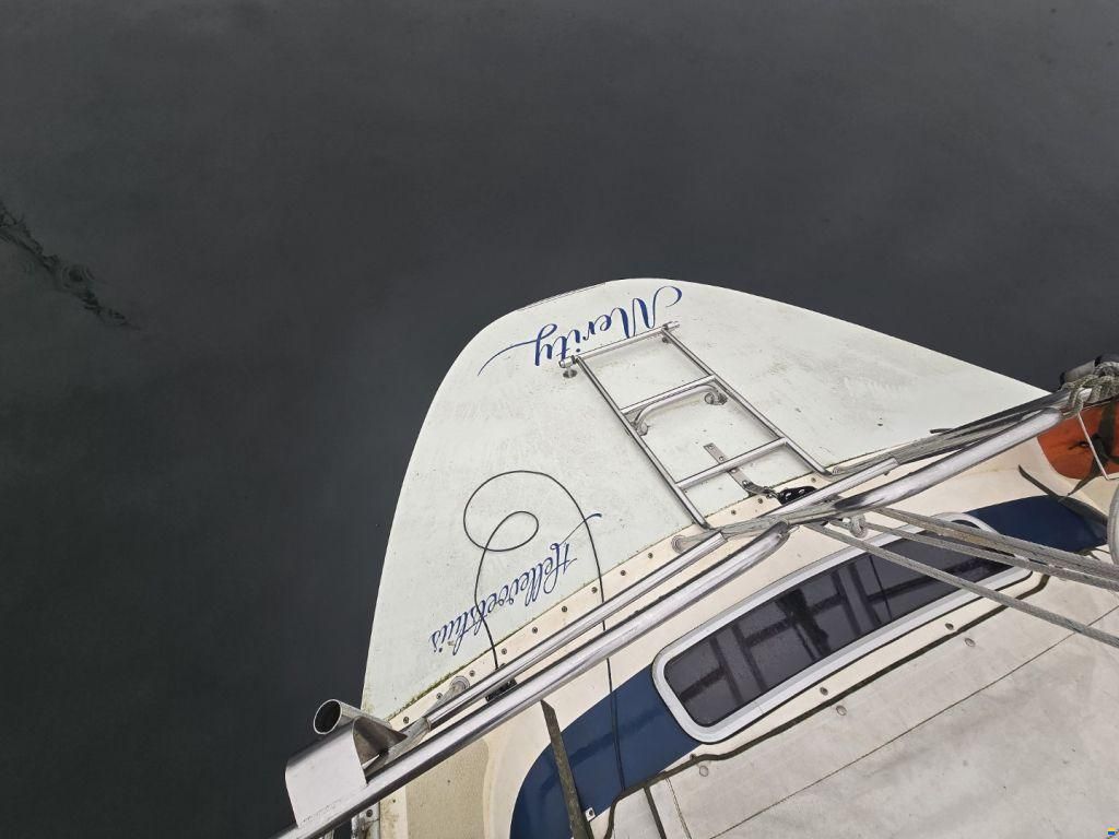 Sirena 38