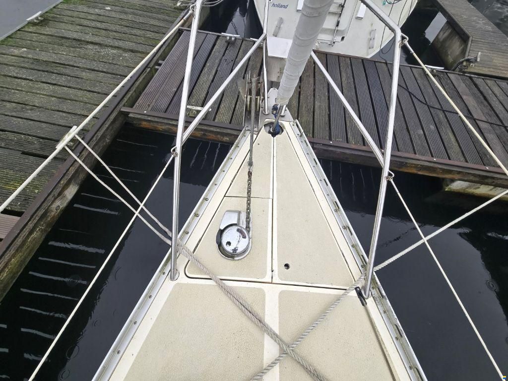 Sirena 38