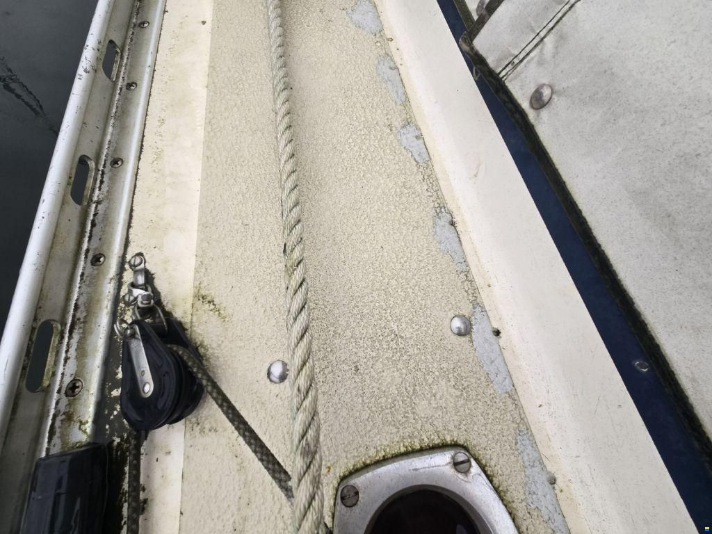 Sirena 38