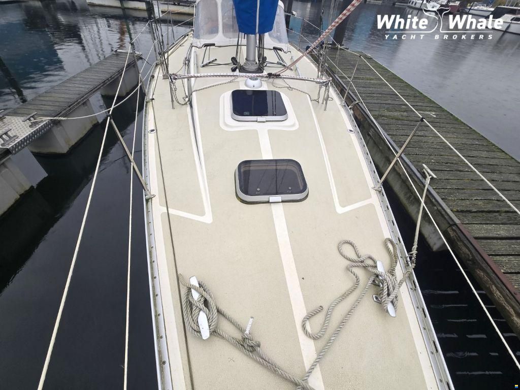Sirena 38