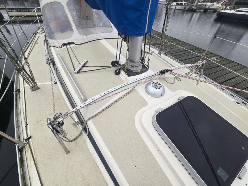 Sirena 38