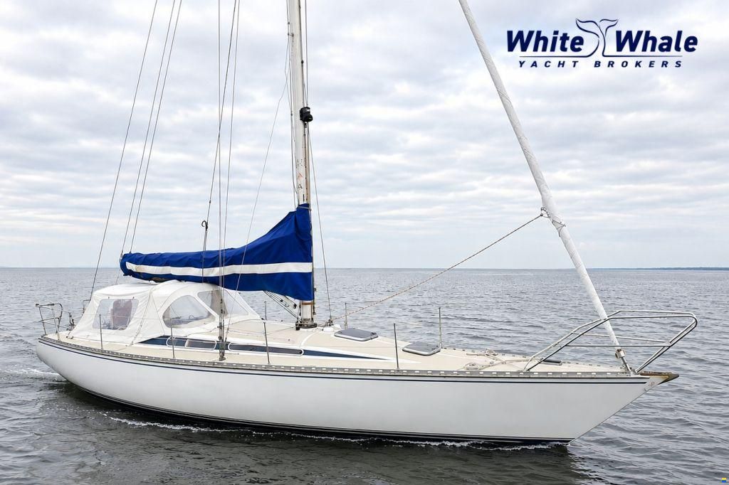 Sirena 38