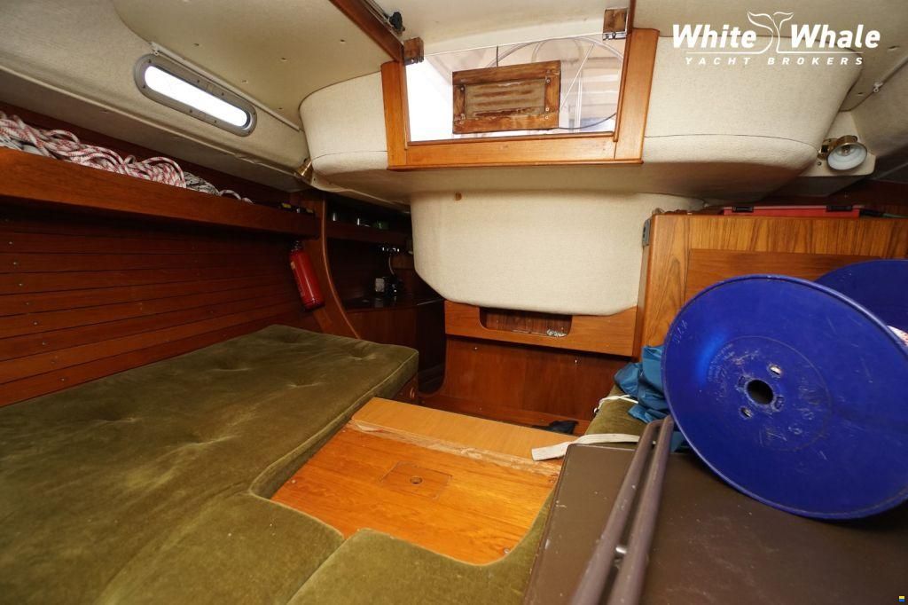 Sirena 38