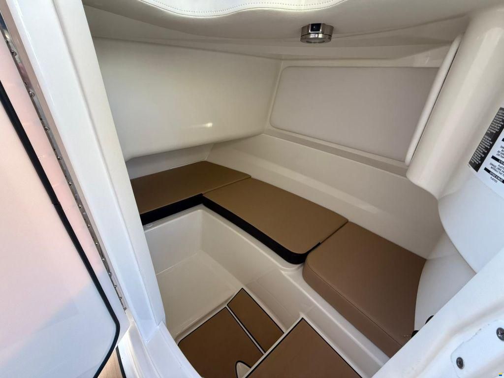 Sea Ray SDX 230