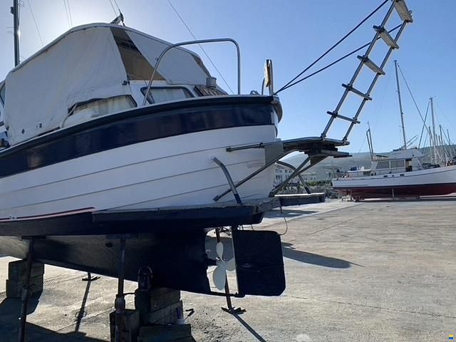 Saga 27
