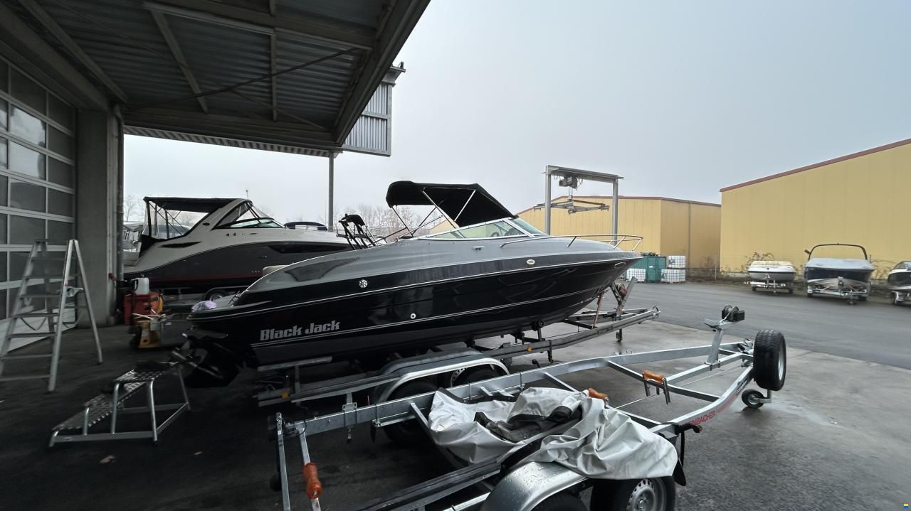 Viper V 243