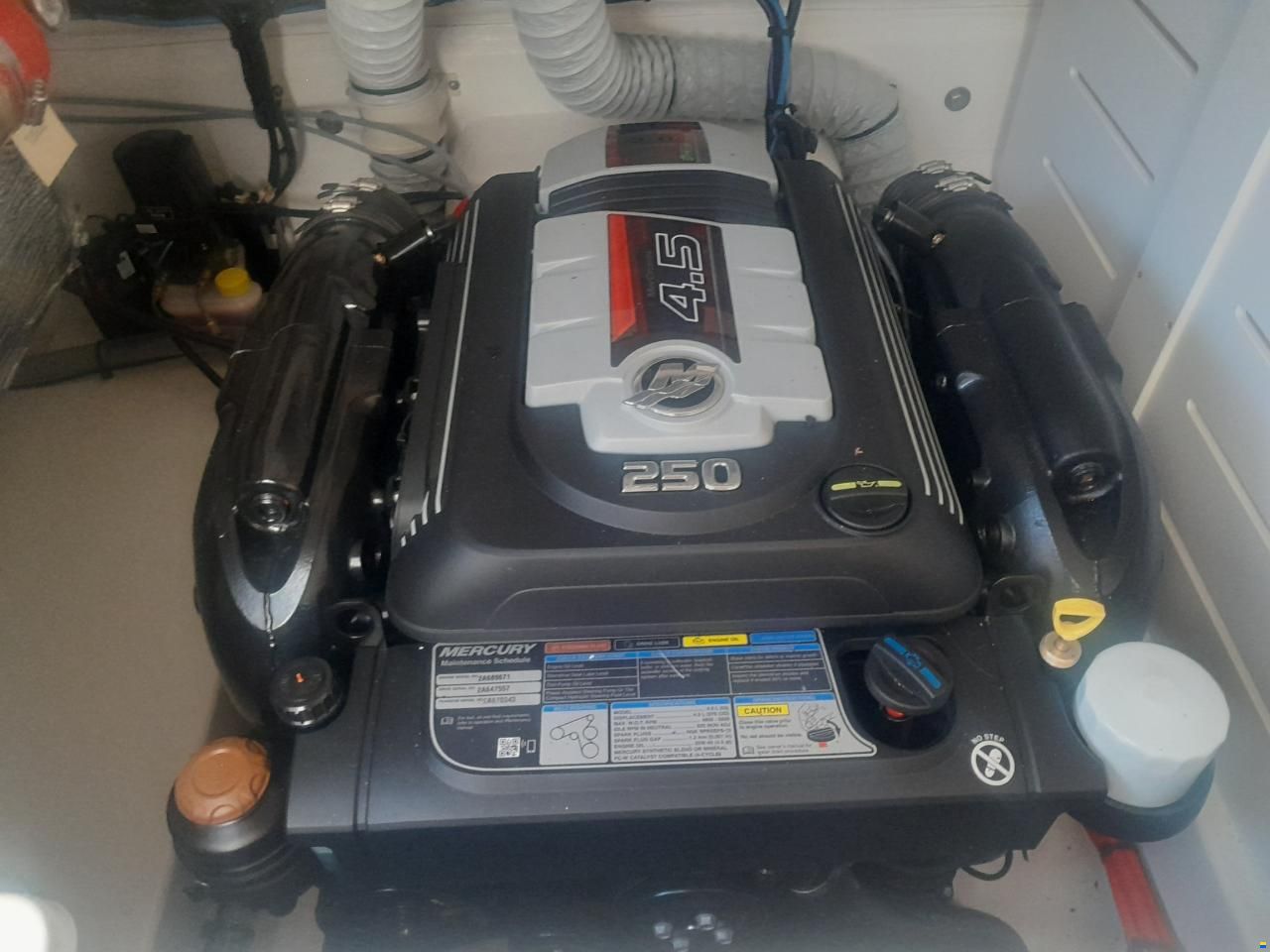 MerCruiser V6 4.5l 250 CV