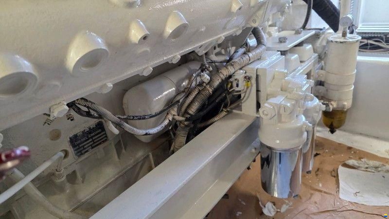 Viking Marin 50