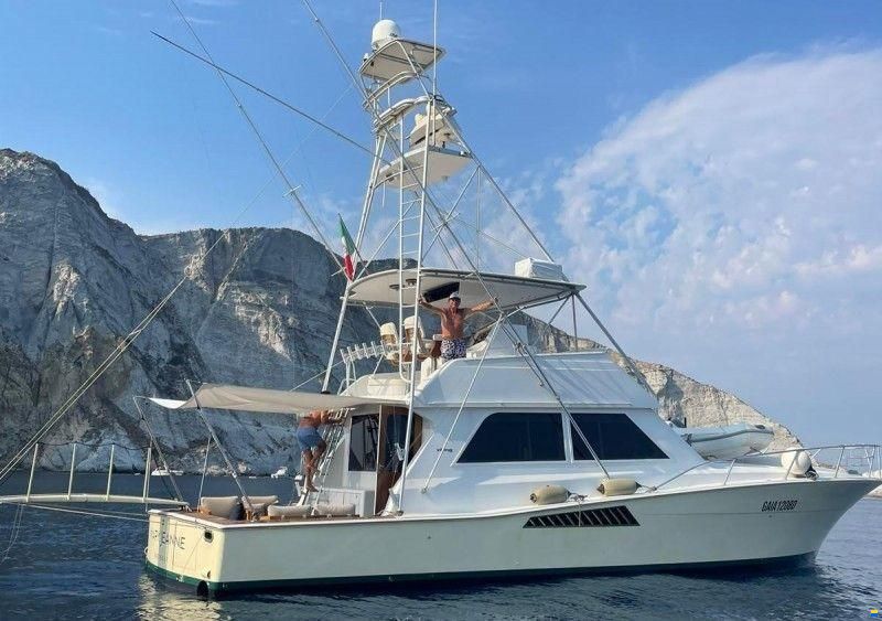 Viking Marin 50