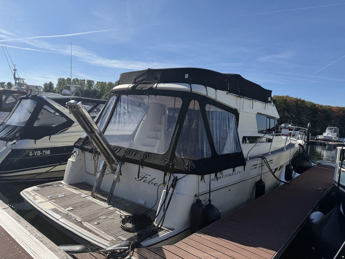 ACM Dynasty 43 Fly