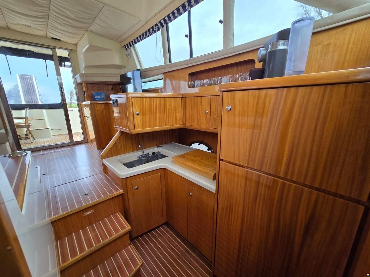 ACM Dynasty 43 Fly