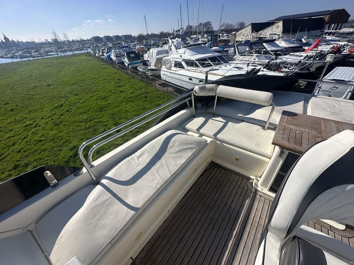 ACM Dynasty 43 Fly