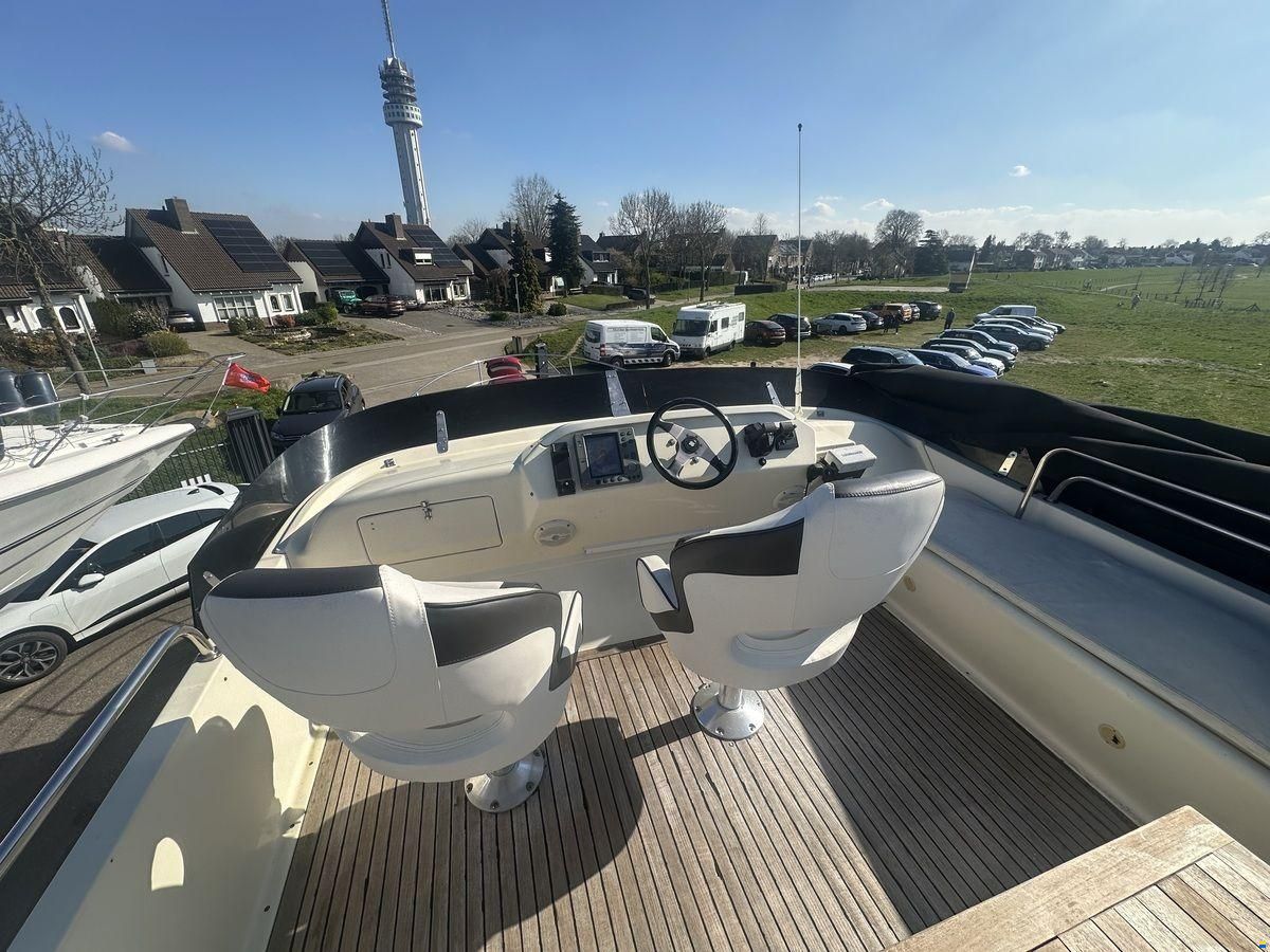 ACM Dynasty 43 Fly