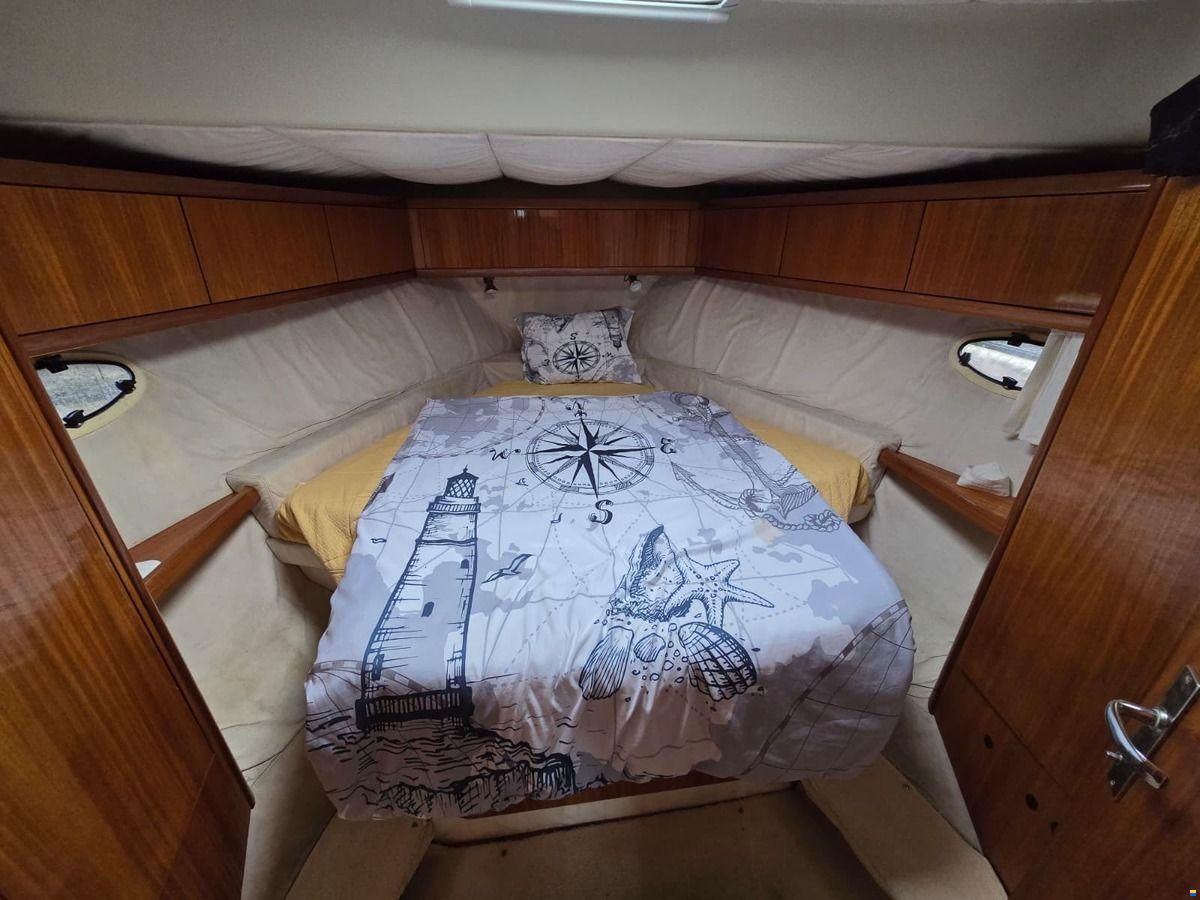 ACM Dynasty 43 Fly