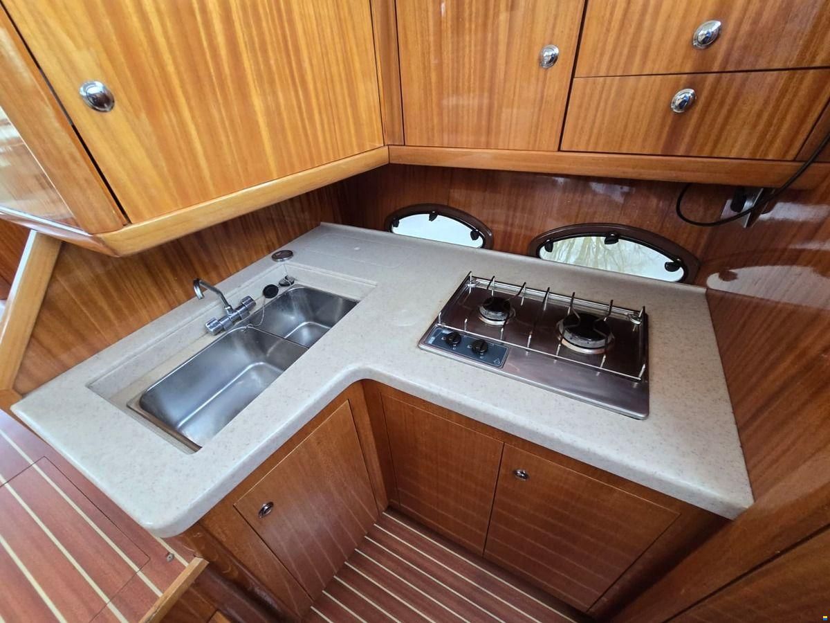 ACM Dynasty 43 Fly