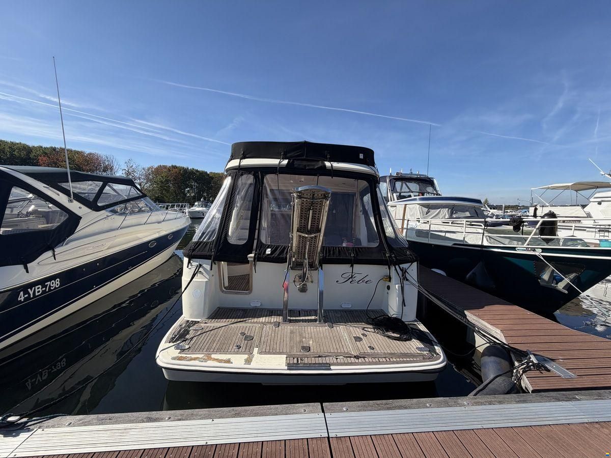 ACM Dynasty 43 Fly