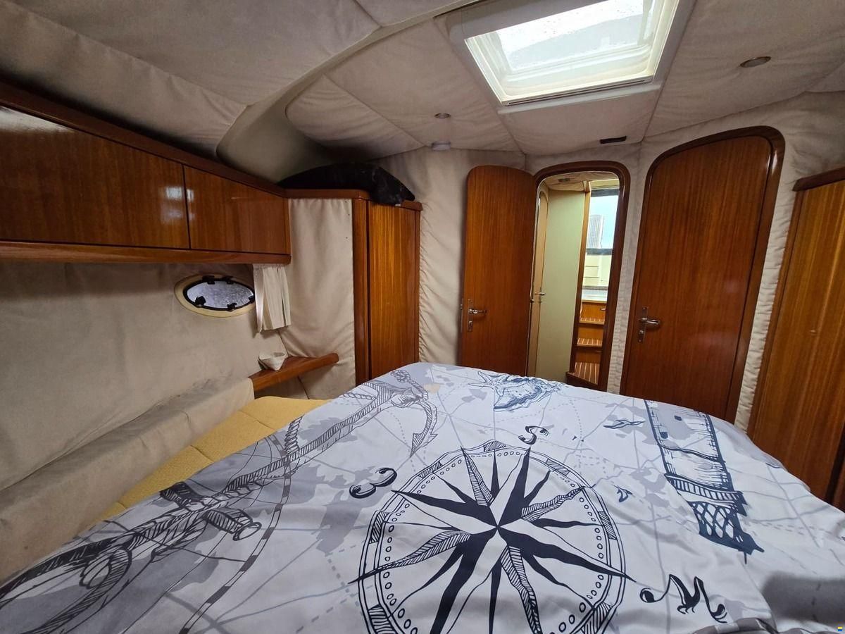 ACM Dynasty 43 Fly