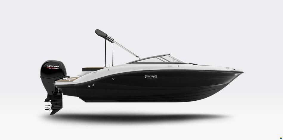 Sea Ray 190 SPOE