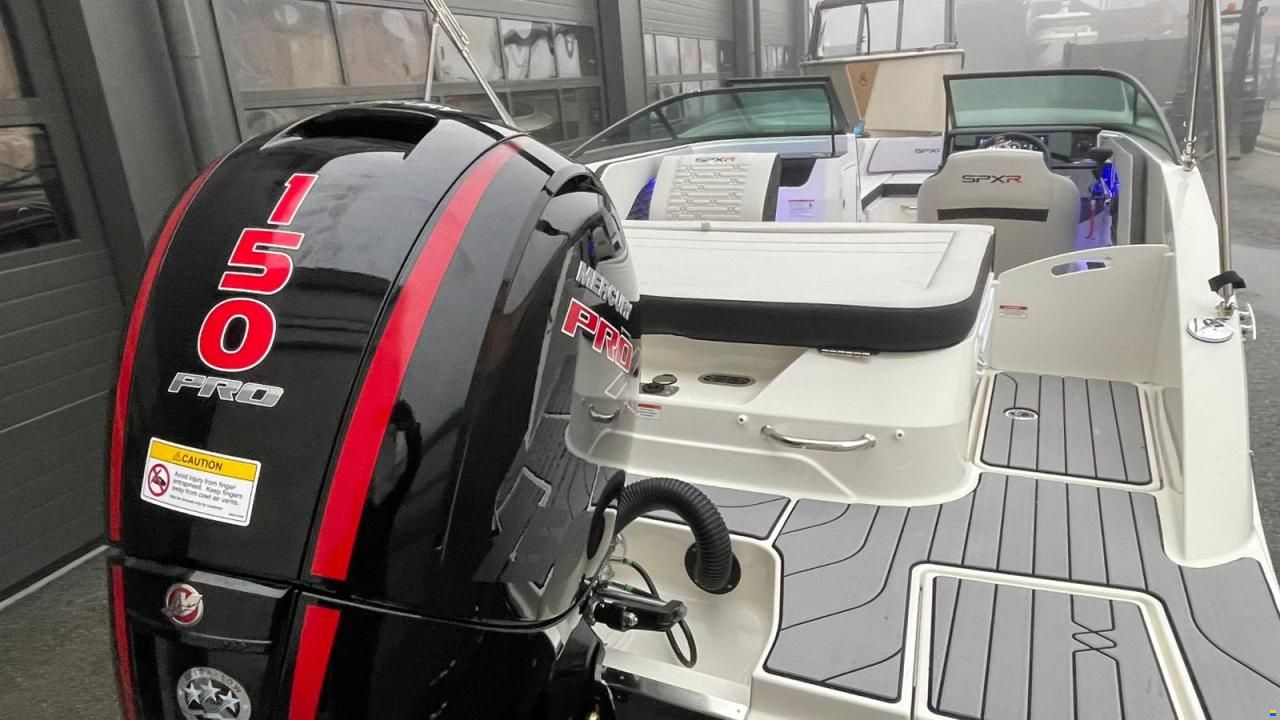 Sea Ray SPX-R 190 Outboard