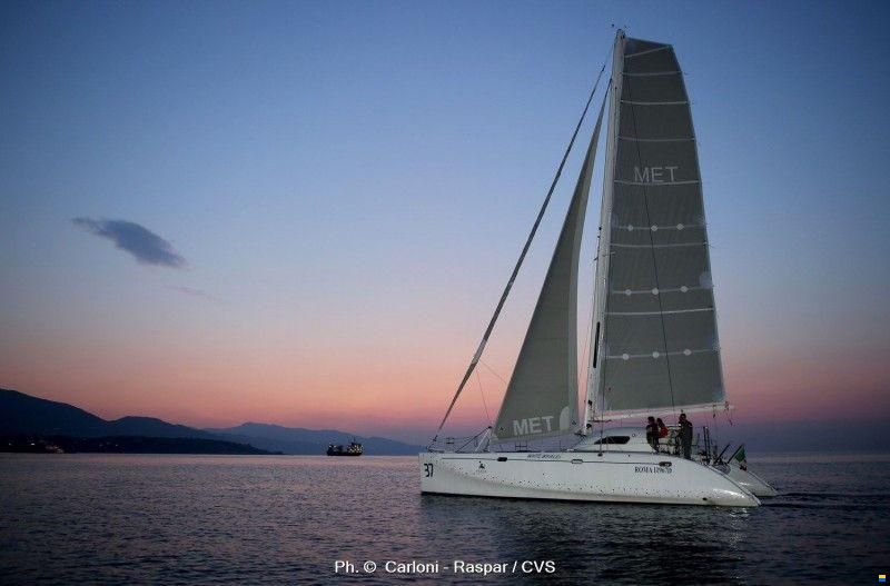 Latini Cat 43