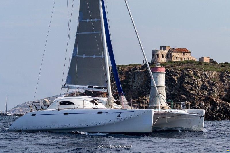 Latini Cat 43