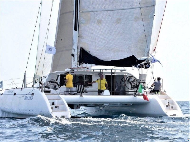 Latini Cat 43