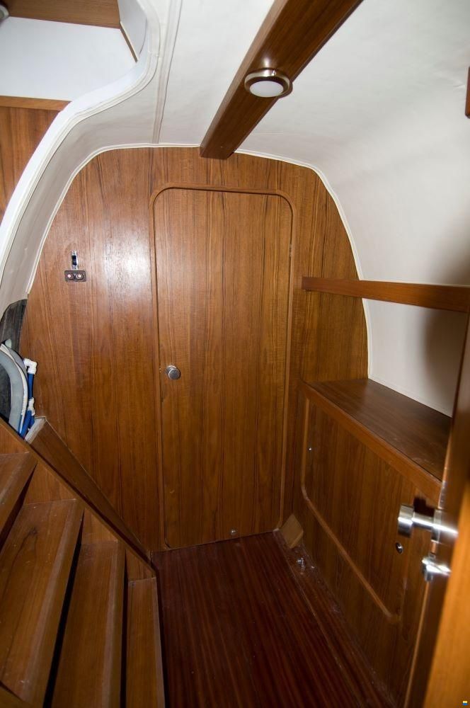 Latini Cat 43