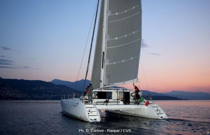 Latini Cat 43