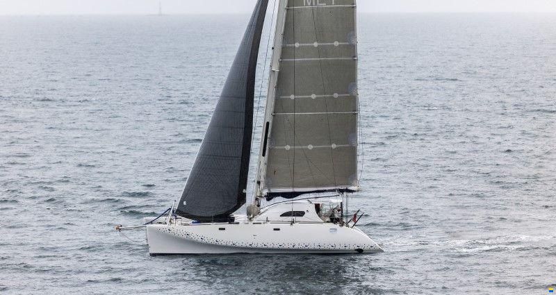 Latini Cat 43