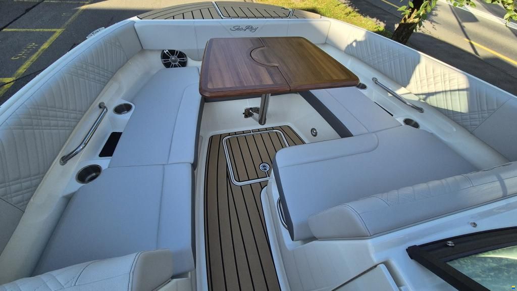 Sea Ray SDX 270 Surf