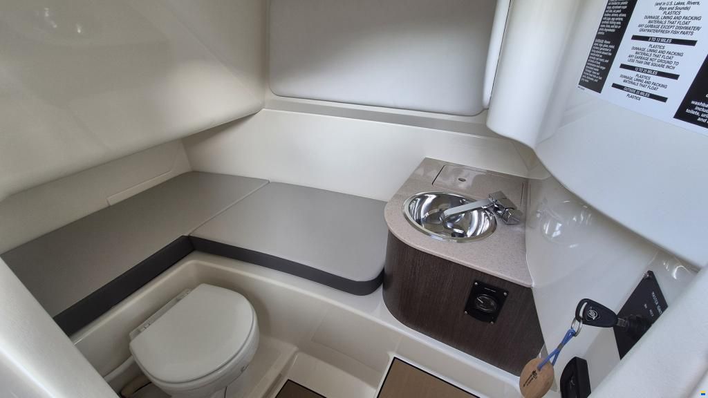 Sea Ray SDX 270 Surf