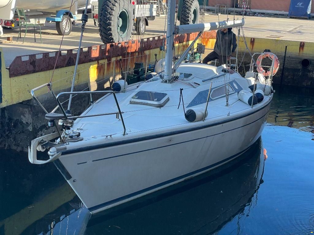 Dehler 31