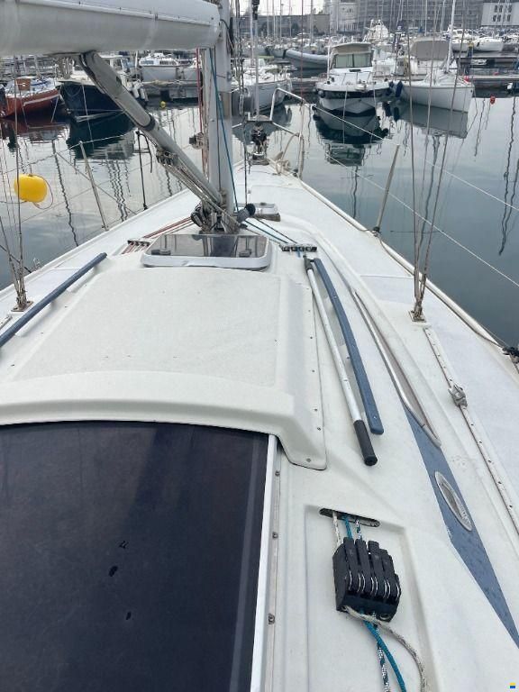Dehler 31