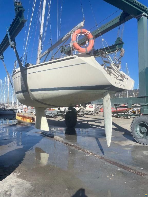 Dehler 31