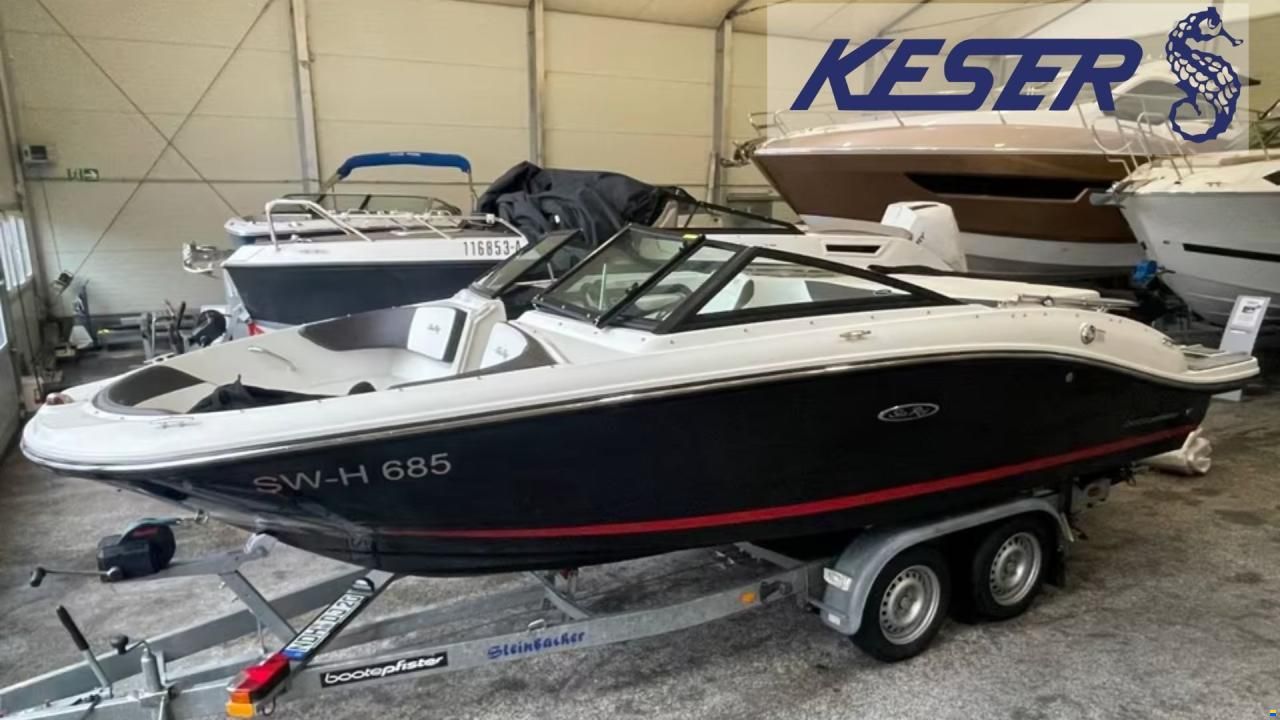 Sea Ray SPX 190 IB