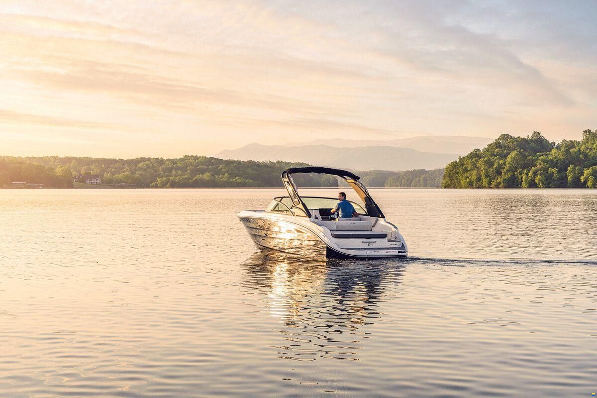 Sea Ray SDX 230