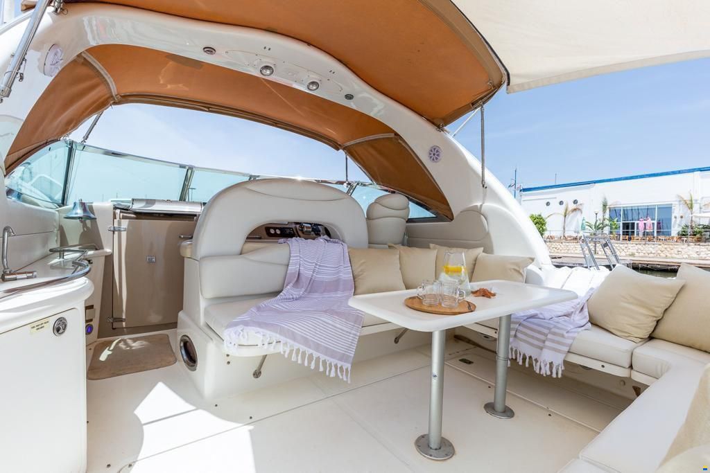 Sea Ray 455
