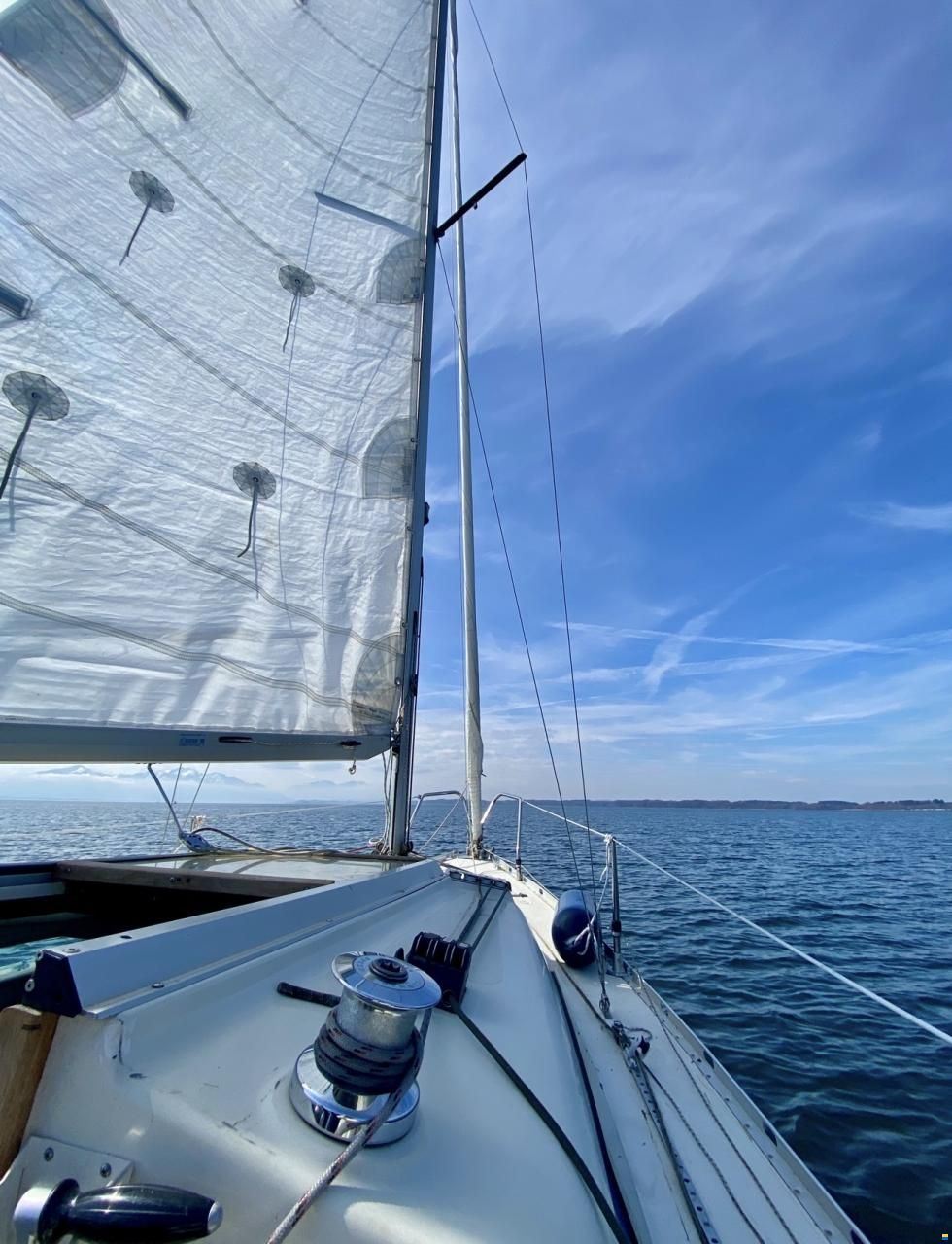 Bavaria 606