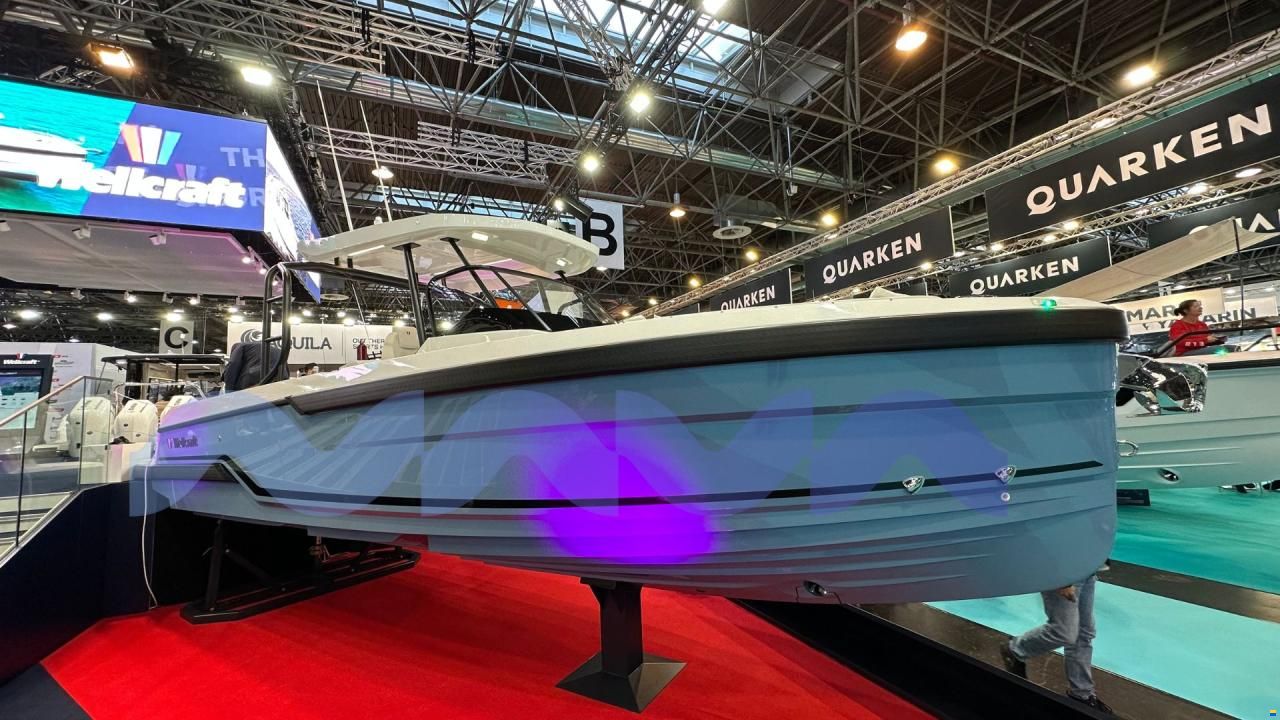 Wellcraft 28 T-TOP