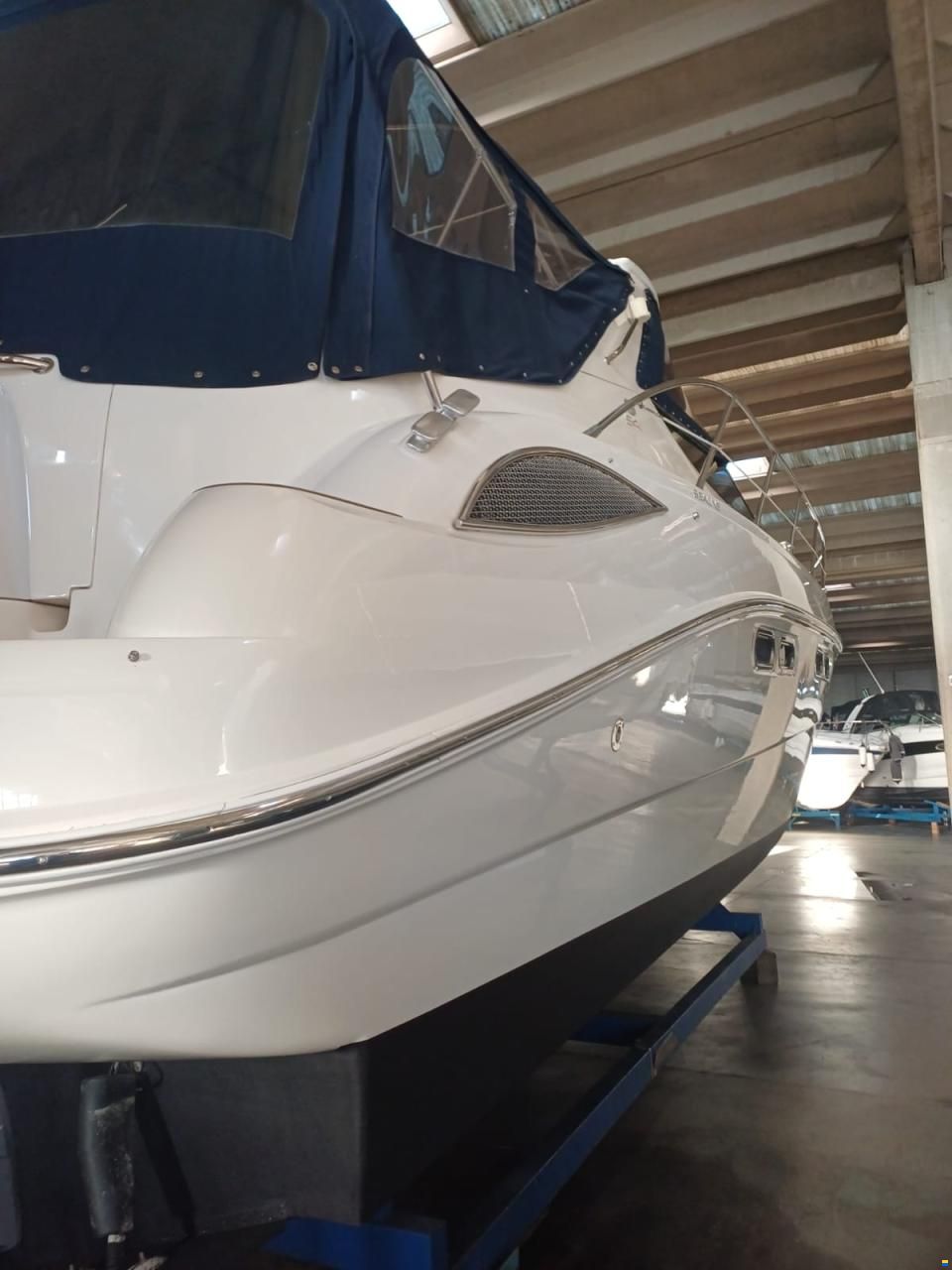 Sealine S41