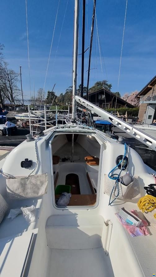 Archambault Surprise