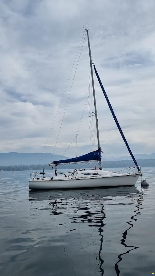 Archambault Surprise