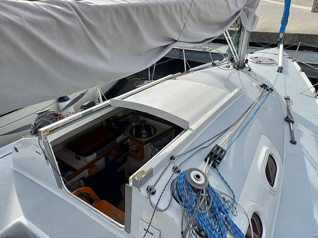 Bepox 850 / David Reard