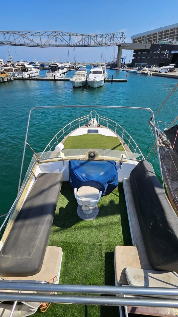 Cytra Senator 50