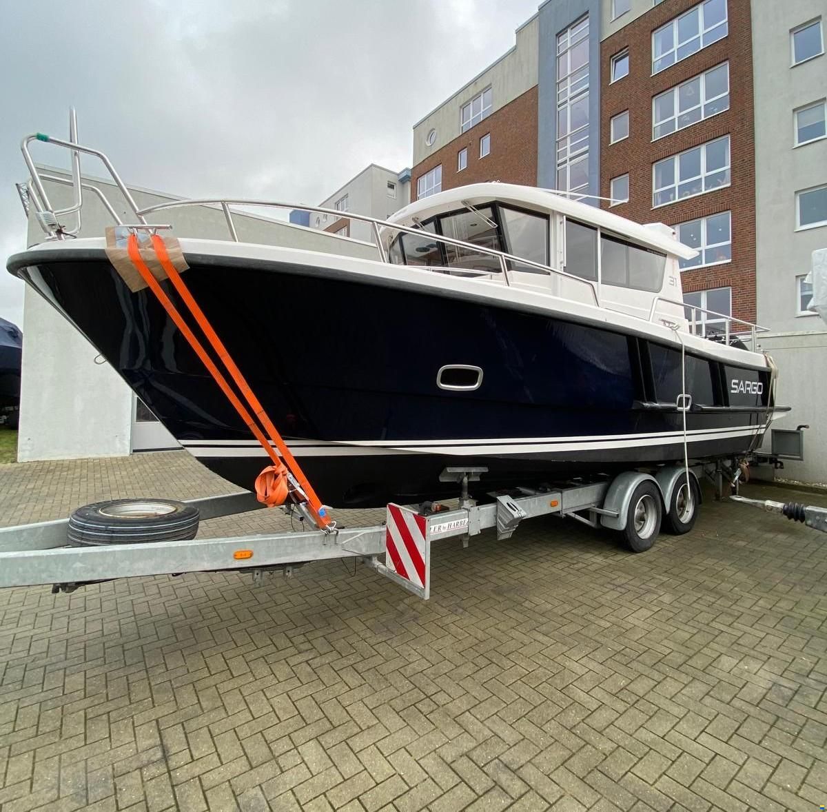Sargo 31