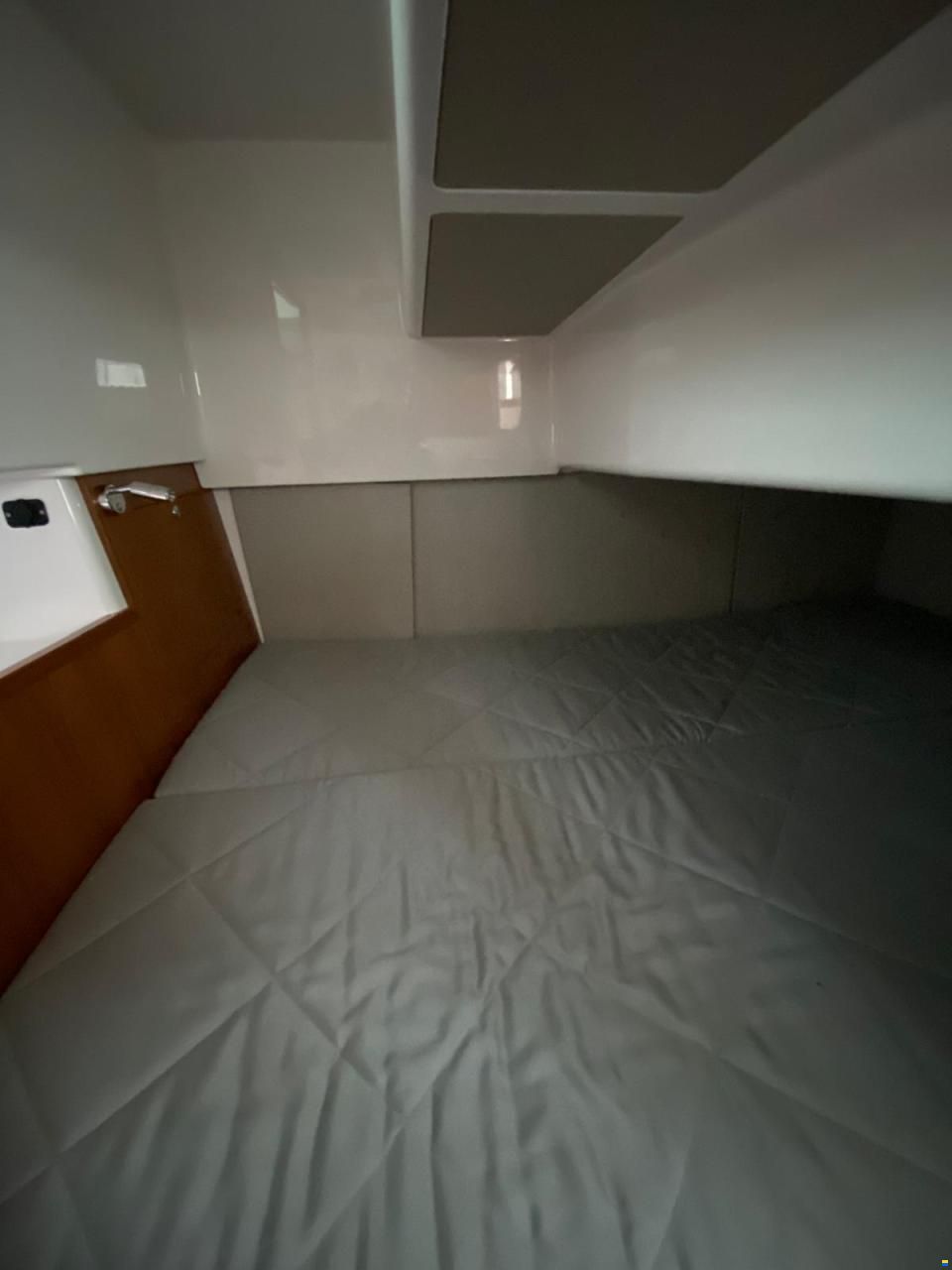 Sargo 31