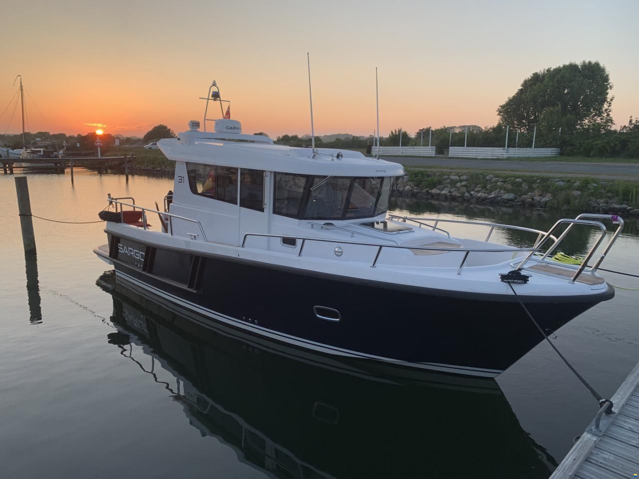 Sargo 31